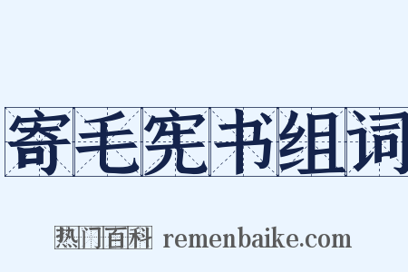 寄毛宪书组词是什么意思的图片